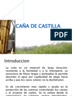 Caña de Castilla