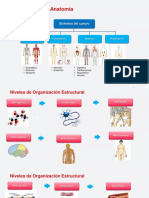 Clase 1 Anatomia 2022