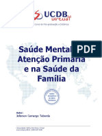 Saúde Mental Na Atenção Primária e Na Saúde Da Família-1-1