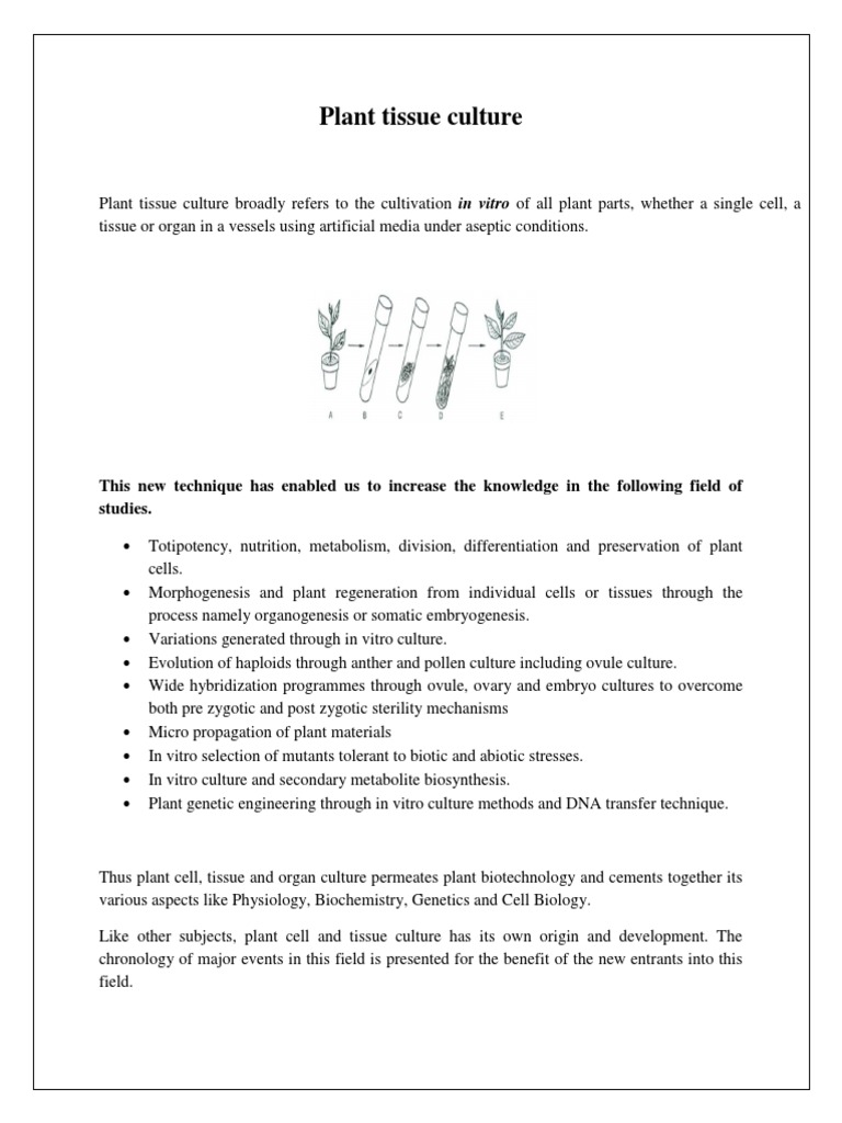 Overview of Plant Tissue Culture Techniques | PDF | Embryo | Plant Breeding