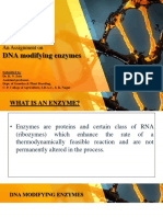 DNA Modifying Enzymes: An Assignment On