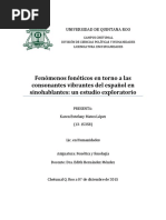 Fenomenos Foneticos en Torno A Las Conso
