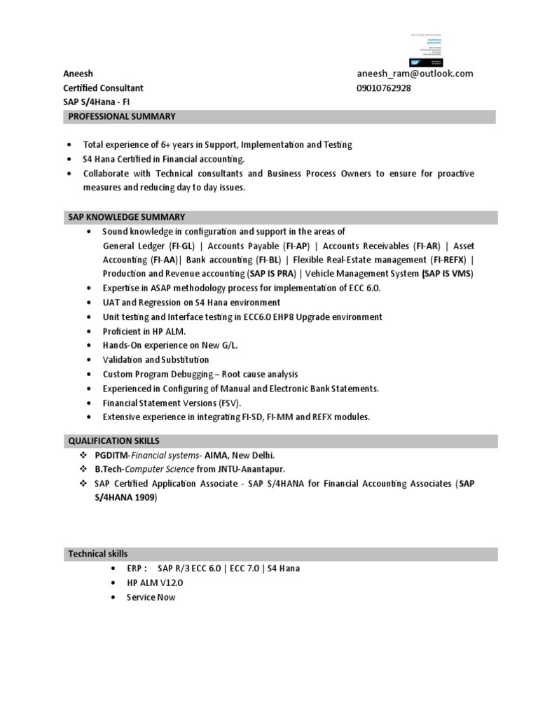 SAP S/4HANA FI Consultant Profile | PDF | Consultant | Enterprise ...