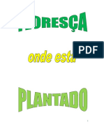 Livro_floresça Onde Está Plantado