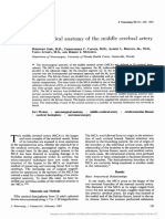 (Journal of Neurosurgery) Microsurgical Anatomy of The Middle Cerebral Artery