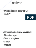 Microscopic Features Of Ovary