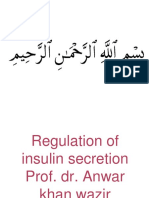 Regulation of Insulin Secretion