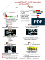 4.- Los 6 Pasos PROACT - Spanish