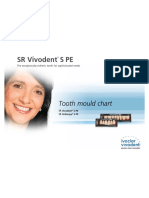 SR Vivodent SPE: Tooth Mould Chart