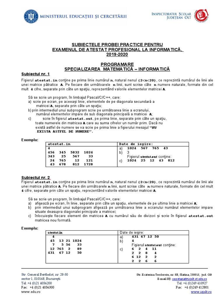 Subiecte Atestat Programare Neintensiv | PDF