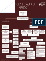 Servicios de Salud en México - Mapa Conceptual