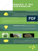 La Imporancia de Los Minerales