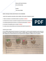 Manriquez - Esteban - Gabriel - Silvestre - 5°D Biocatálisis 1er Examen Parcial