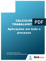 Aula 01 - Anota+º+Áes do professor - Aplica+º+úo de c+ílculos trabalhistas em todo o proce