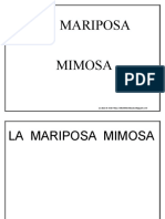 Texto y Dibujo Mariposa Mimosa