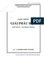 (Ykhoa247.Com) Giải Phẫu Người y Huế