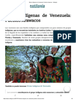 Etnias Indígenas de Venezuela - Pueblos Arawacos - Notilogía