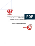 Manual de Cuidados Basicos en PDF