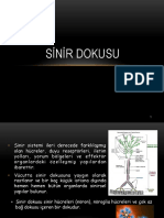 Sinir Dokusu