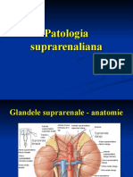 CURS 09-Patologia Suprarenaliana