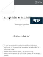 Microbiología patogénesis