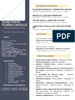 215 Curriculum Vitae Plantilla CV Word Gratis