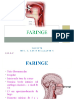 Faringe