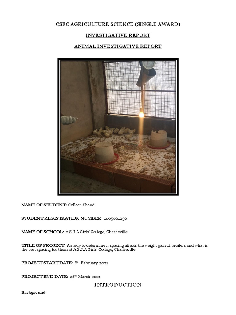 Broiler Production PDF Broiler Poultry Farming