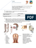 TP Planimetria y Biomecánica