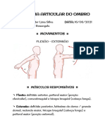 Fisiologia Articular Do Ombro