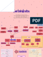 Carbohidratos