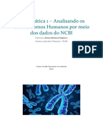 Análise dos Cromossomos Humanos pelo NCBI