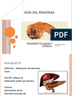 Patologia Del Pancreas