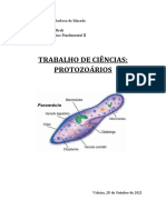 Protozoários Trabalho