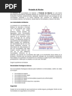 Texto Pirámide de Maslow