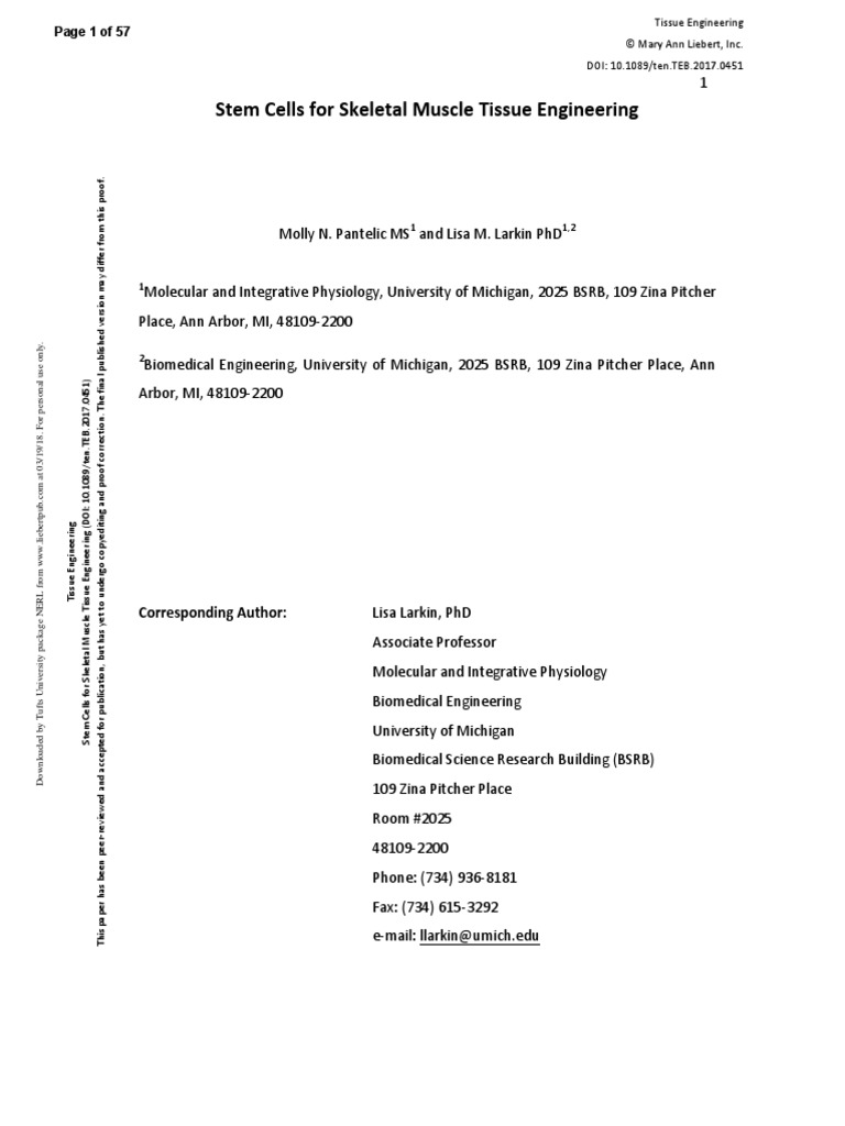 G. Engineering | PDF | Stem Cell | Tissue Engineering