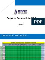 Reporte Semanal SSO-Spektra Sem 29