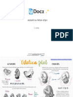 Estatica Fetal DLPC 167621 Downloable 601287