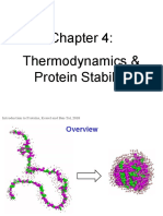 Protein Thermodynamics & Stability - PP