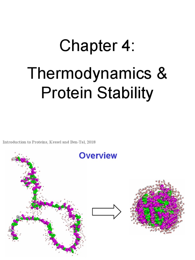 Protein Thermodynamics & Stability PP PDF Denaturation
