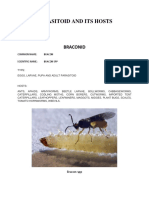 Parasitoid and Its Hosts PDF