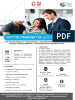 Gestion Estrategica de La Clientemania PDF