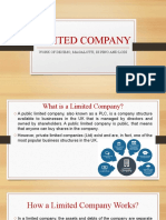 LIMITED COMPANY