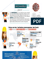 Capacitacion de Coronavirus - Omicron