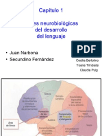 Narbona Cap 1 Final 1