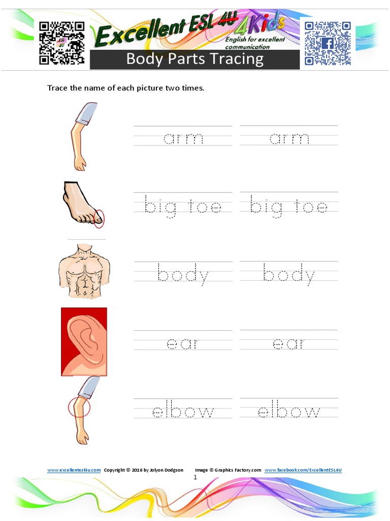 Body Parts Tracing Домой | PDF | Anatomy | Limbs (Anatomy)