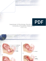 Perubahan Lingkungan Intra - Ekstra Uterus Terhadap Fisiologi Sistem Tubuh