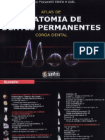 Anatomia Dos Dentes Permanentes Fioranelli 1 Ed.pdf