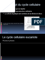 ppt_cours
