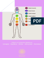 Chakras (1)